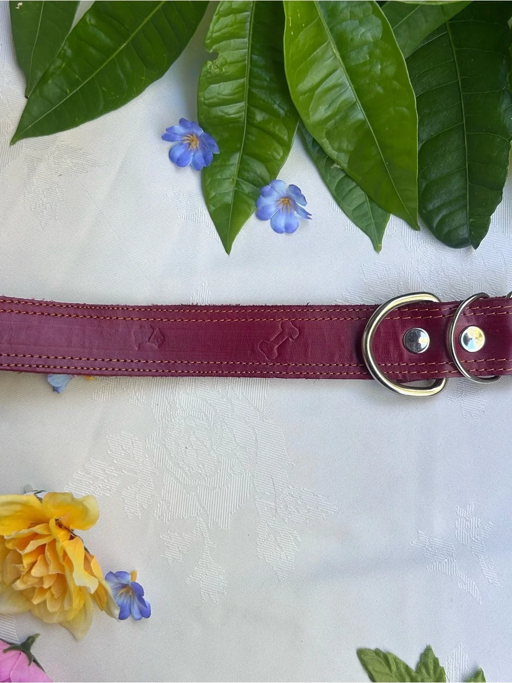 Leather Dog Collar Burgundy Red Adjustable 15-21